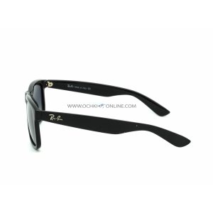 Очки Ray Ban Wayfarer Justin RB4165 855/8G