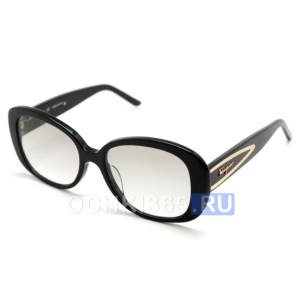 Солнцезащитные очки Salvatore Ferragamo 1005 C.1