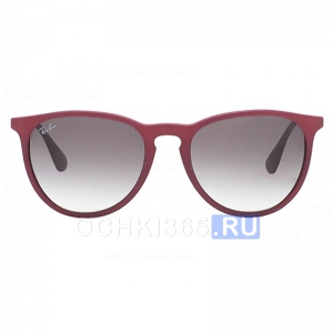 Солнцезащитные очки Ray Ban 4171 6001/11 Erika