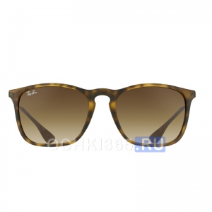 Солнцезащитные очки Ray Ban 4187 856/13 Erika Chris