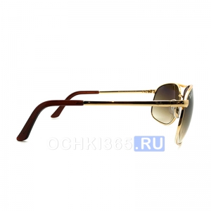 Солнцезащитные очки Ray Ban 3386 001/51 Active Lifestyle