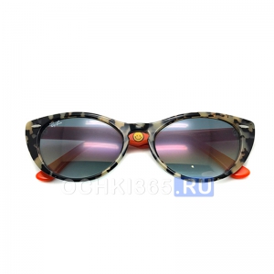 Солнцезащитные очки Ray Ban 4314N 1269/3F Nina